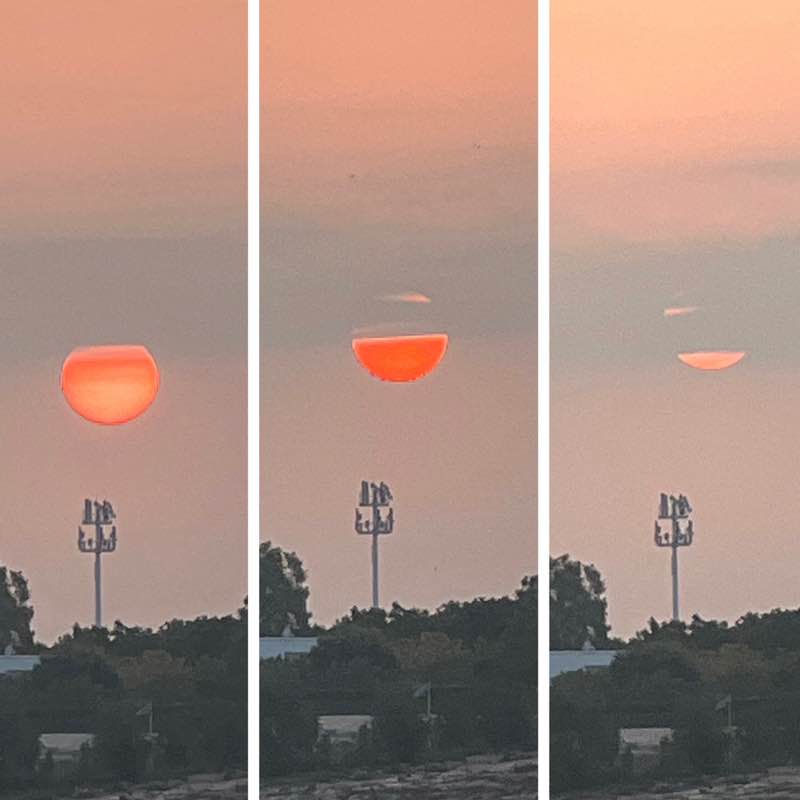 🌺 The Life Catalogue 🌺 BillaVj🐈🇮🇳 post image