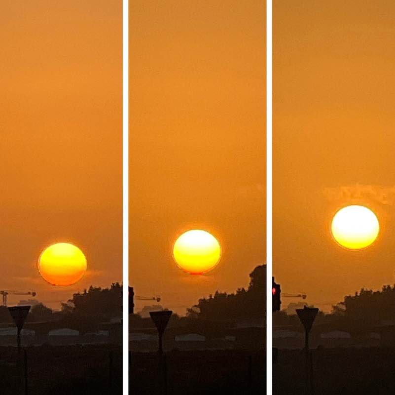 Morning Walk (Delhi/NCR) BillaVj🐈🇮🇳 post image