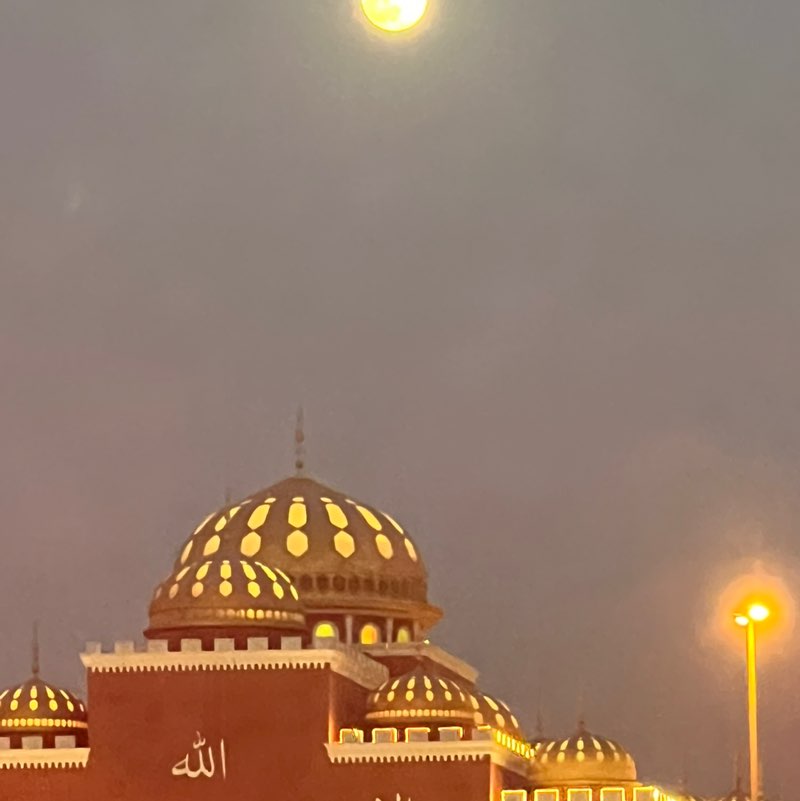 🌺 The Life Catalogue 🌺 BillaVj🐈🇮🇳 post image