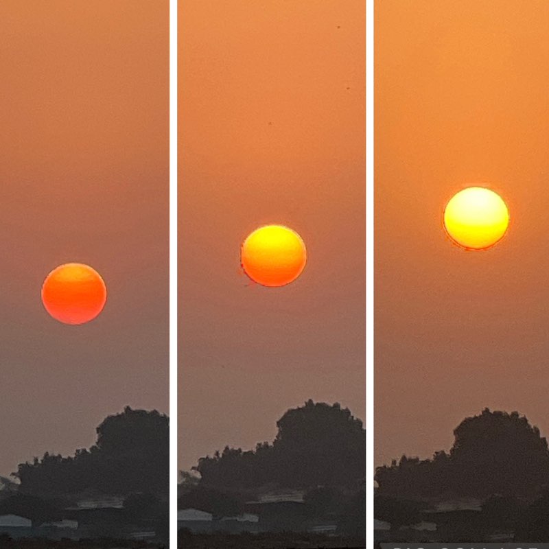 Morning Walk (Delhi/NCR) BillaVj🐈🇮🇳 post image