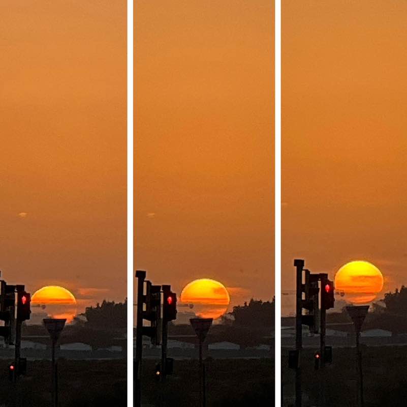 Morning Walk (Delhi/NCR) BillaVj🐈🇮🇳 post image