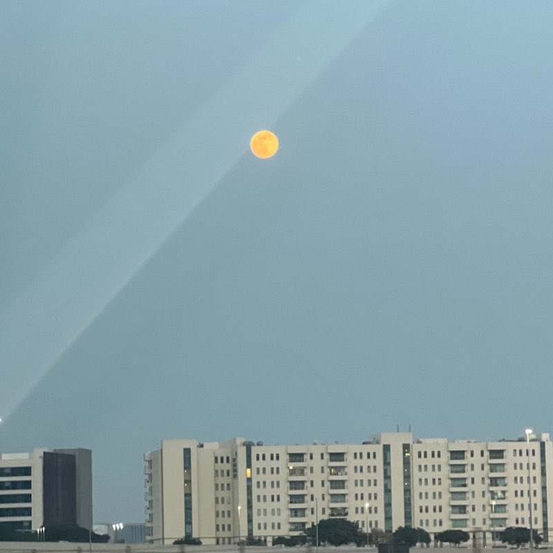 🌺 The Life Catalogue 🌺 BillaVj🐈🇮🇳 post image