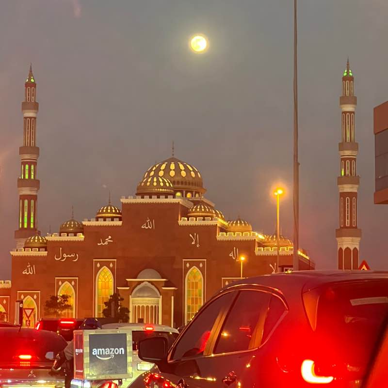 🌺 The Life Catalogue 🌺 BillaVj🐈🇮🇳 post image