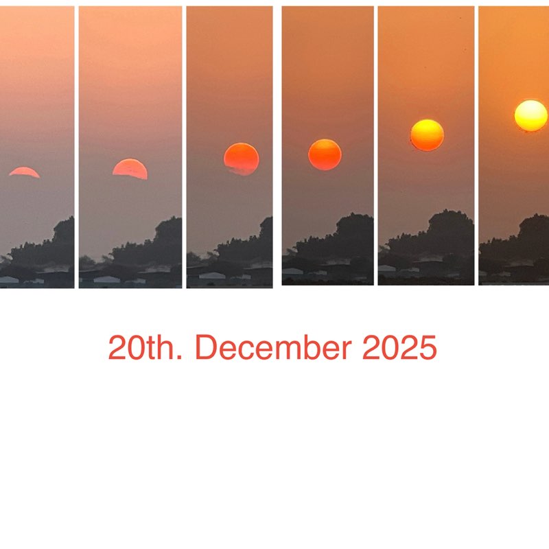 Morning Walk (Delhi/NCR) BillaVj🐈🇮🇳 post image