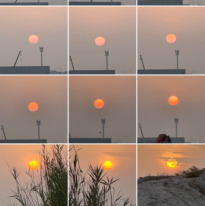 Delhi Walkers BillaVj🐈🇮🇳 post image