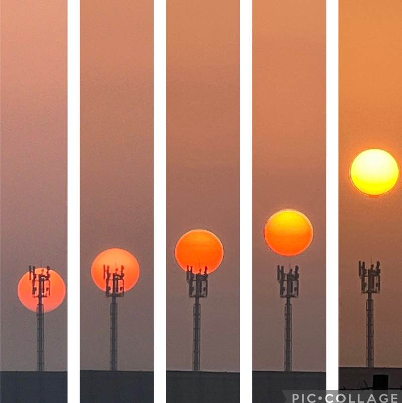 Stepping out  BillaVj🐈🇮🇳 post image