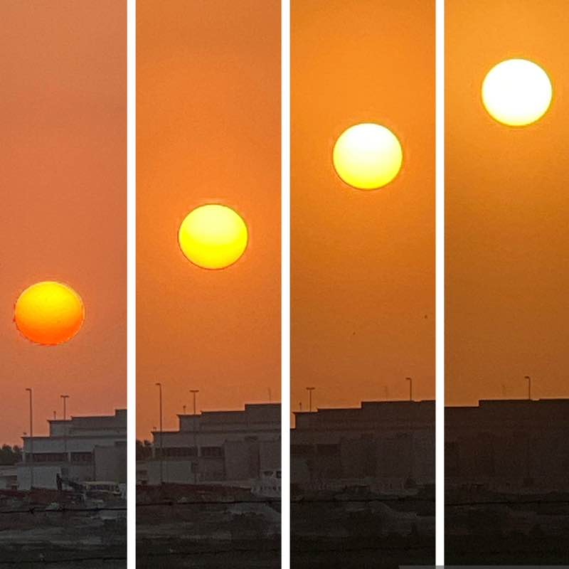 Delhi Walkers BillaVj🐈🇮🇳 post image