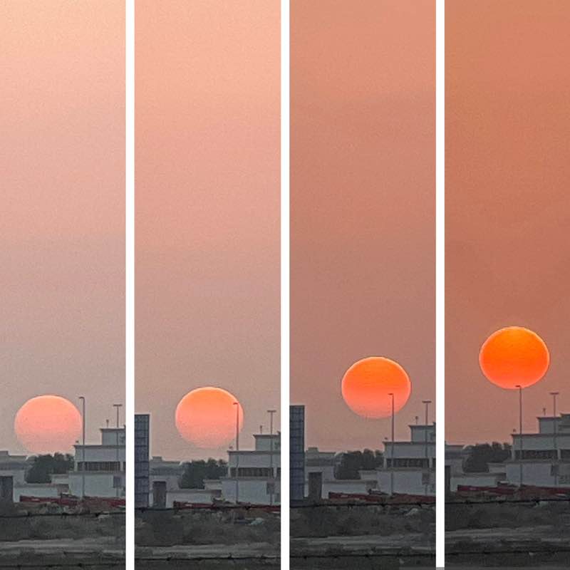 Delhi Walkers BillaVj🐈🇮🇳 post image