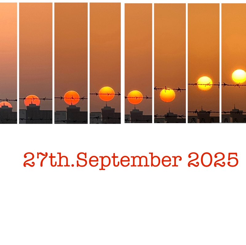 Delhi Walkers BillaVj🐈🇮🇳 post image