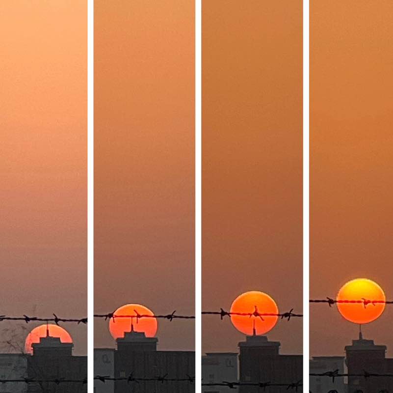 Delhi Walkers BillaVj🐈🇮🇳 post image