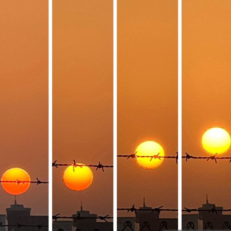 Delhi Walkers BillaVj🐈🇮🇳 post image