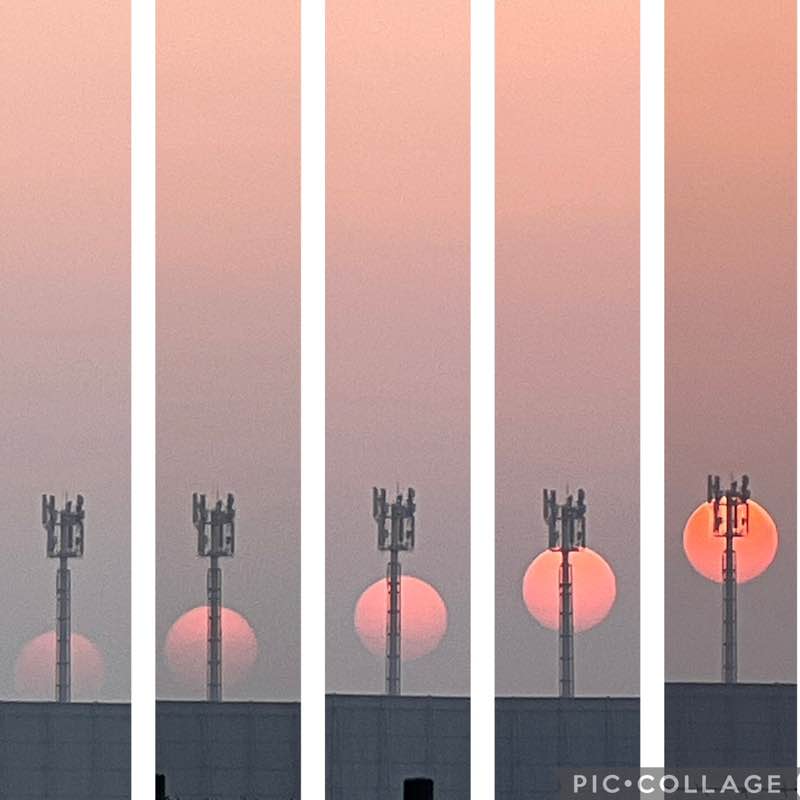 Stepping out  BillaVj🐈🇮🇳 post image