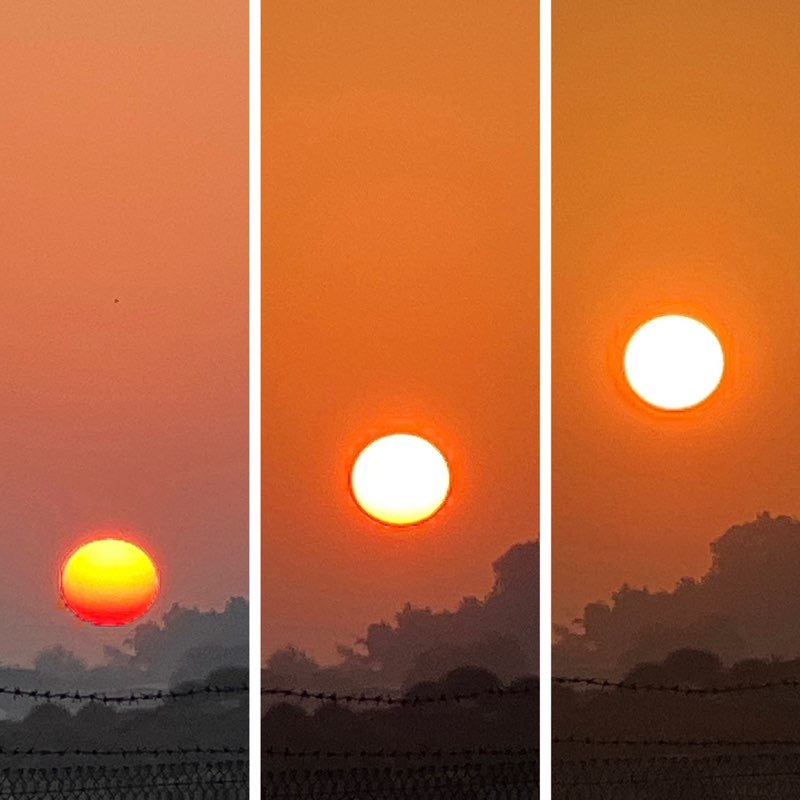 Delhi Walkers BillaVj🐈🇮🇳 post image