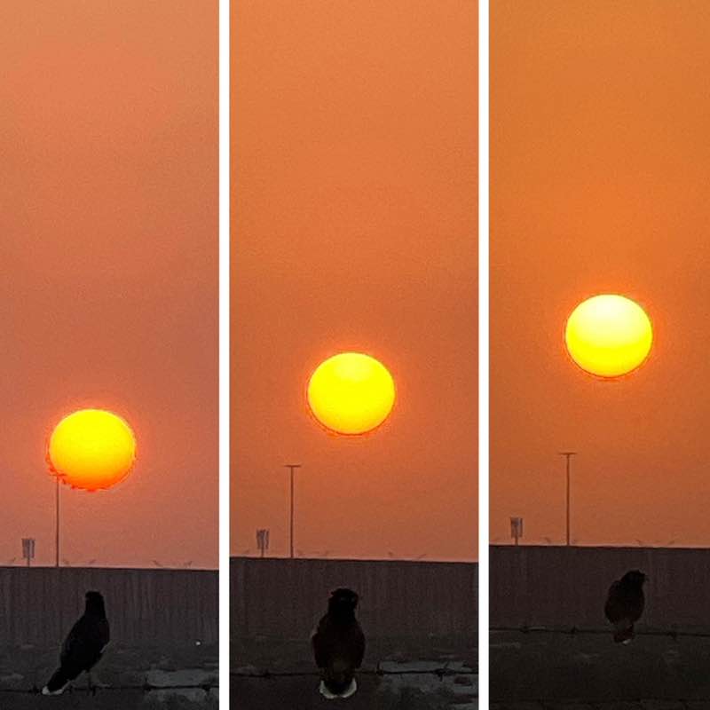 Morning Walk (Delhi/NCR) BillaVj🐈🇮🇳 post image