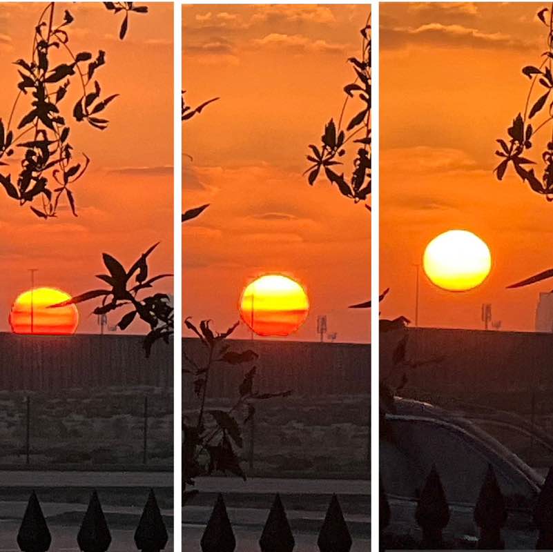 Delhi Walkers BillaVj🐈🇮🇳 post image