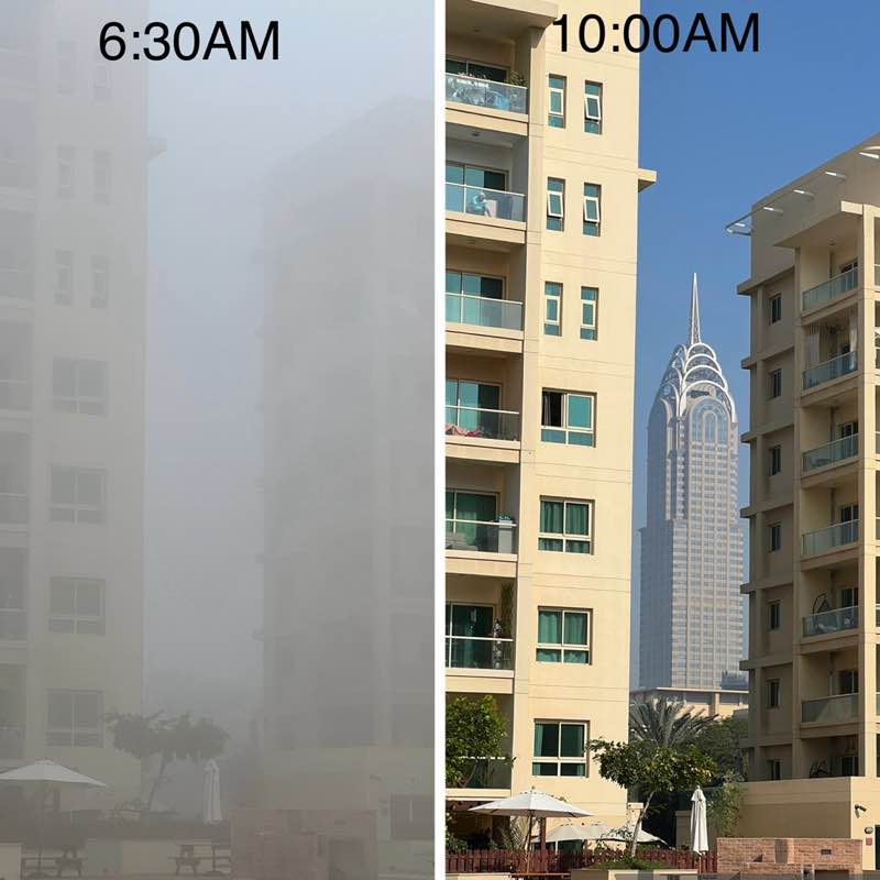 Delhi Walkers BillaVj🐈🇮🇳 post image