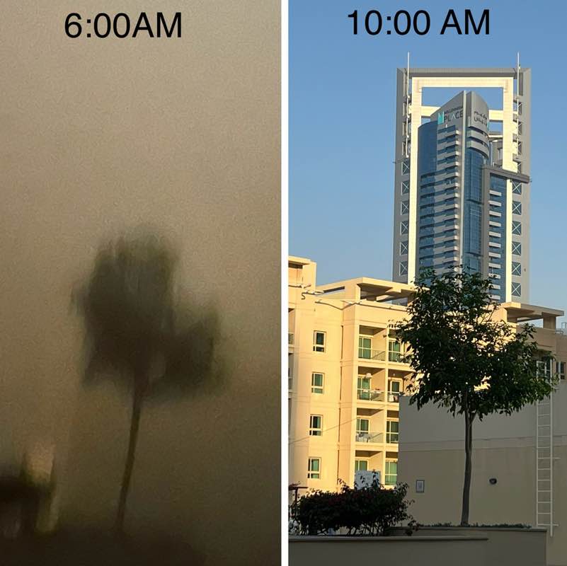 Delhi Walkers BillaVj🐈🇮🇳 post image