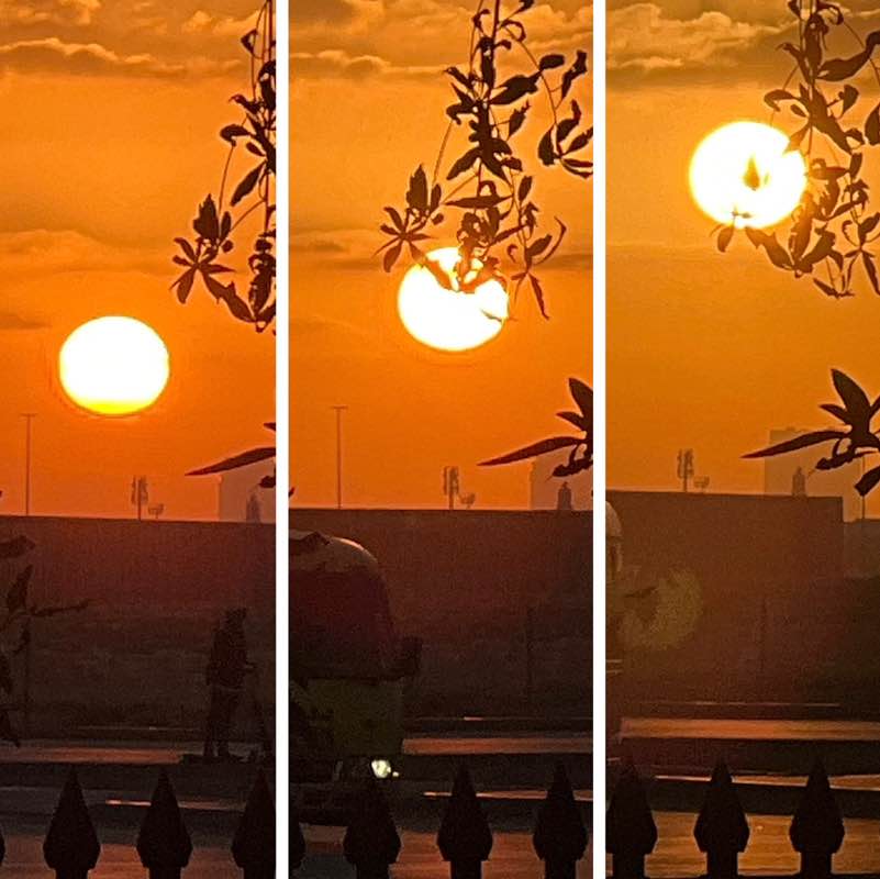 Delhi Walkers BillaVj🐈🇮🇳 post image