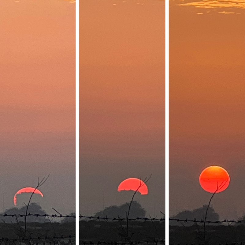 🩵WE LOVE TO WALK🩵 BillaVj🐈🇮🇳 post image