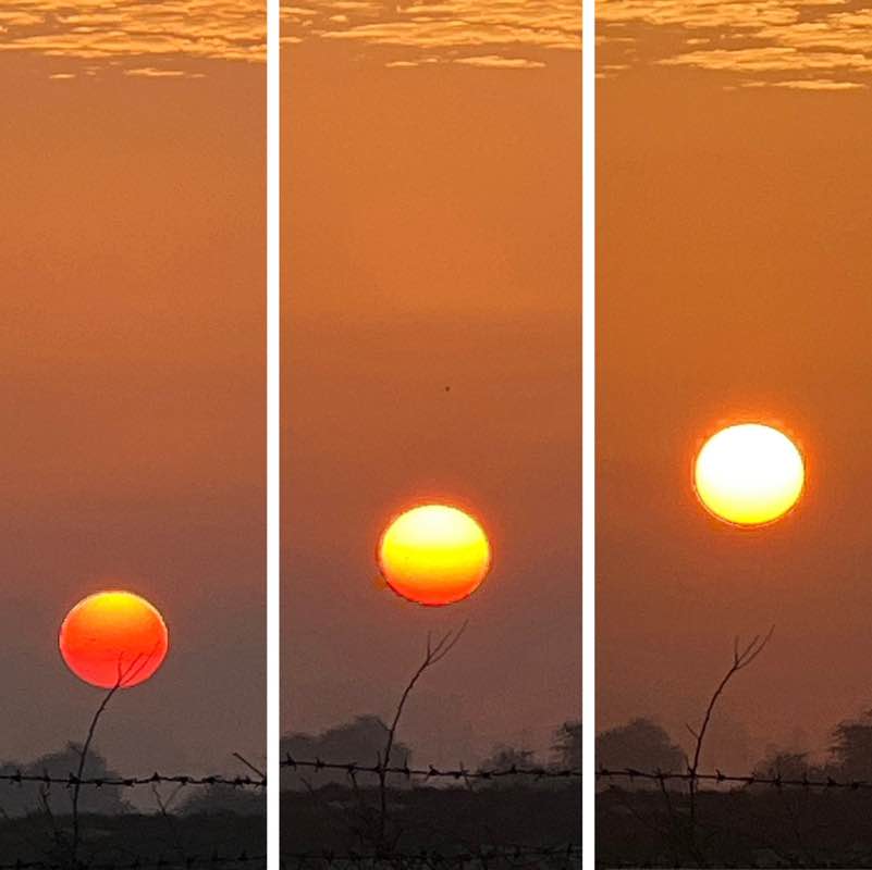 🩵WE LOVE TO WALK🩵 BillaVj🐈🇮🇳 post image