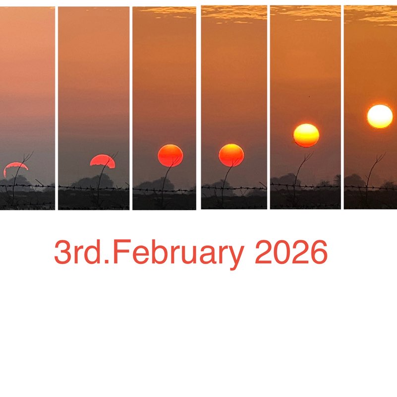 🩵WE LOVE TO WALK🩵 BillaVj🐈🇮🇳 post image