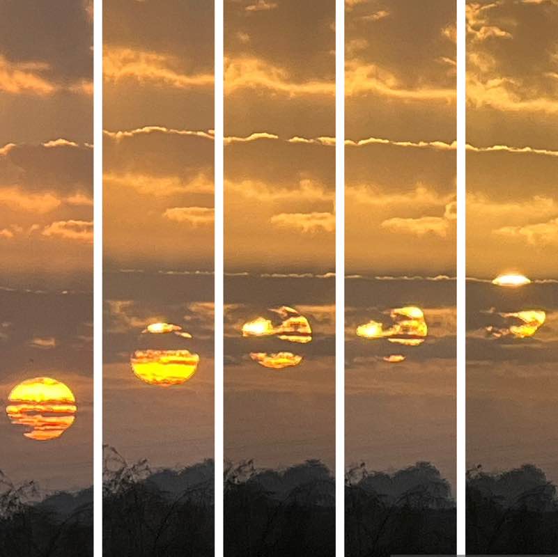 🩵WE LOVE TO WALK🩵 BillaVj🐈🇮🇳 post image