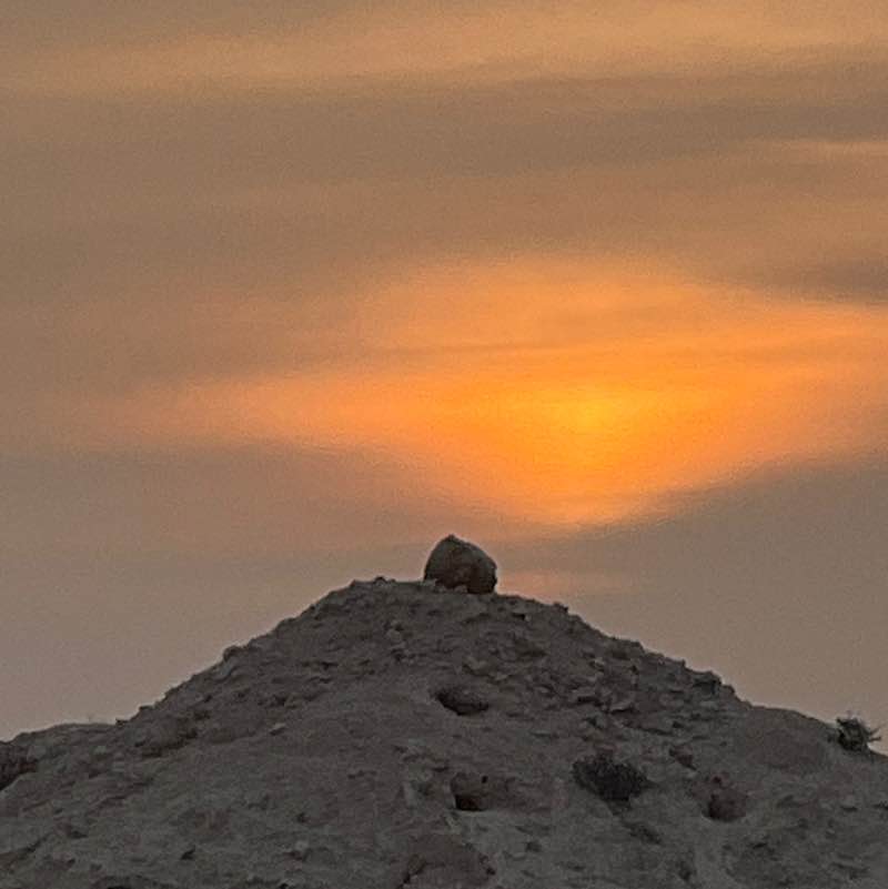 🩵WE LOVE TO WALK🩵 BillaVj🐈🇮🇳 post image