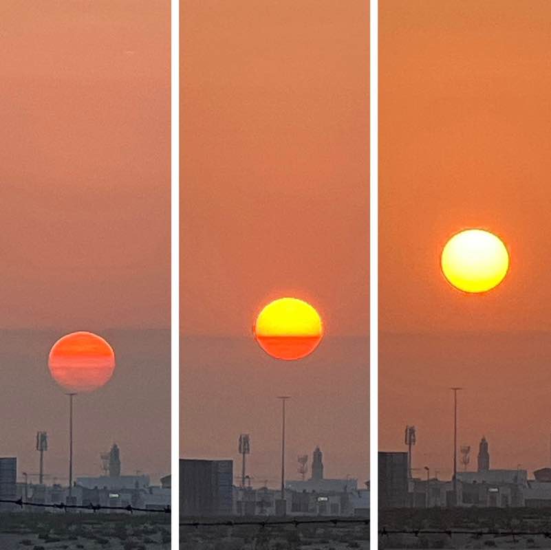 🌺 The Life Catalogue 🌺 BillaVj🐈🇮🇳 post image