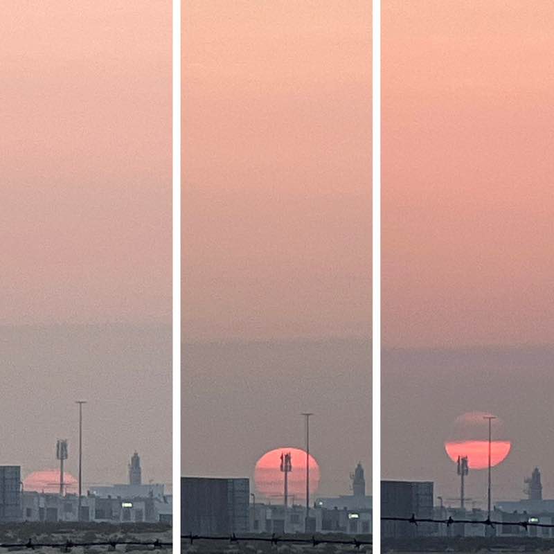 🌺 The Life Catalogue 🌺 BillaVj🐈🇮🇳 post image