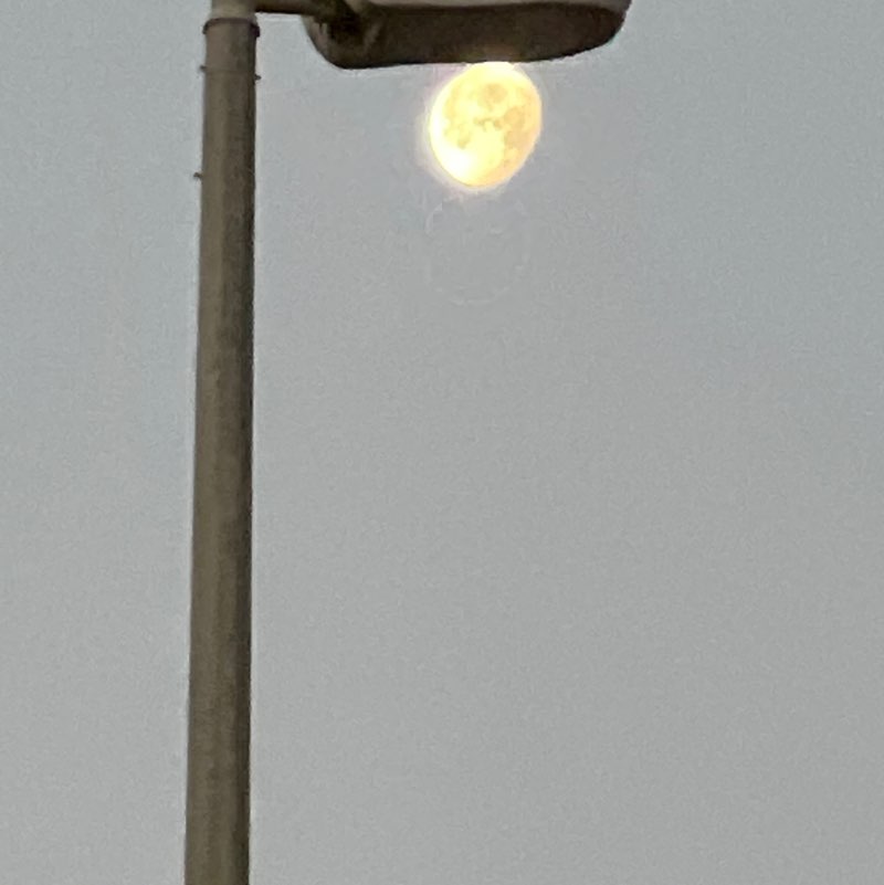 BillaVj🐈🇮🇳 post 3