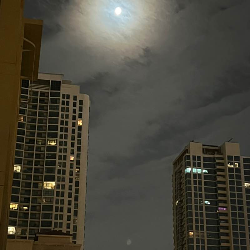 BillaVj🐈🇮🇳 post 1