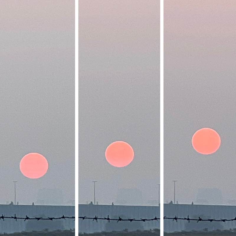 Delhi Walkers BillaVj🐈🇮🇳 post image