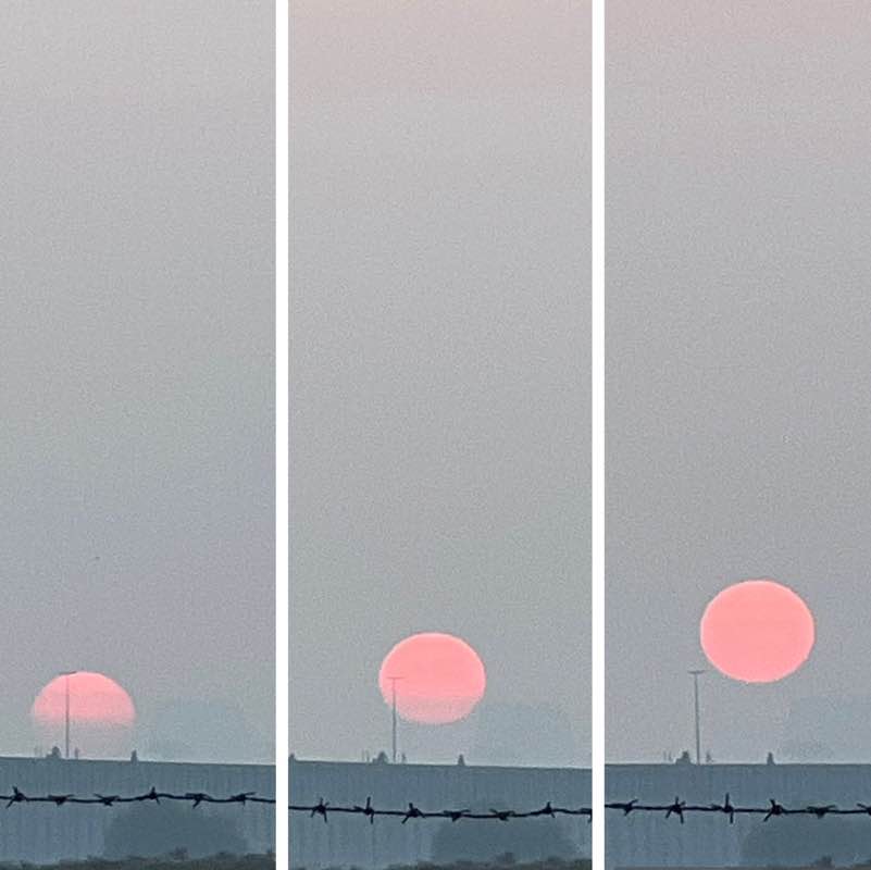 🌺 The Life Catalogue 🌺 BillaVj🐈🇮🇳 post image