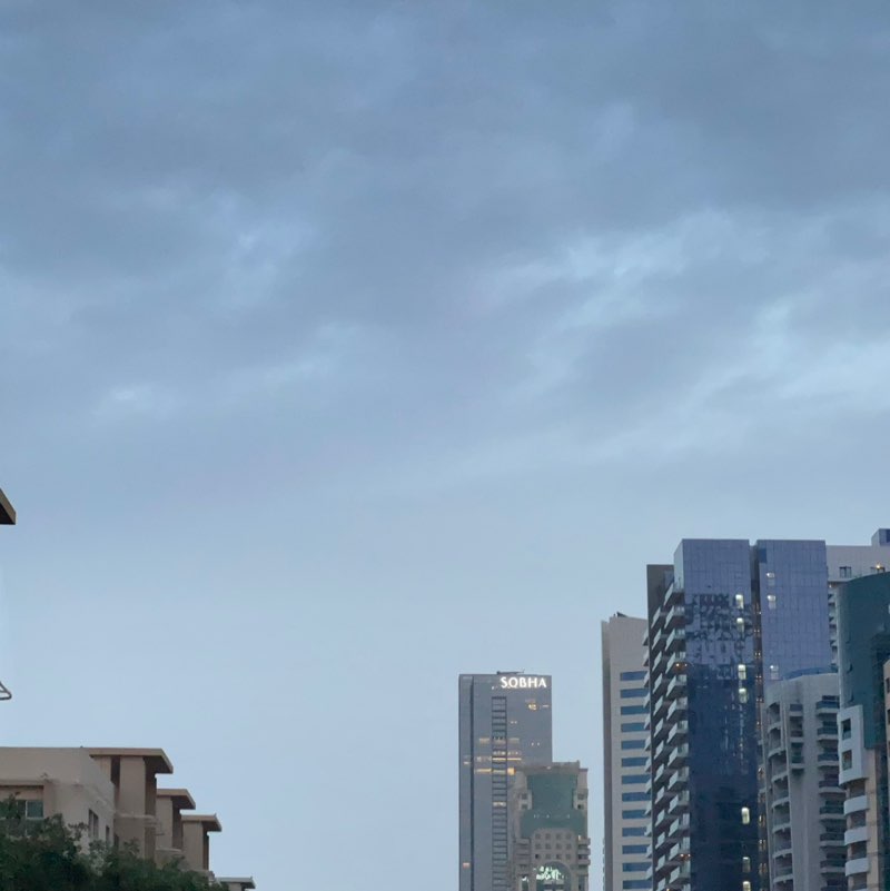 Delhi Walkers BillaVj🐈🇮🇳 post image