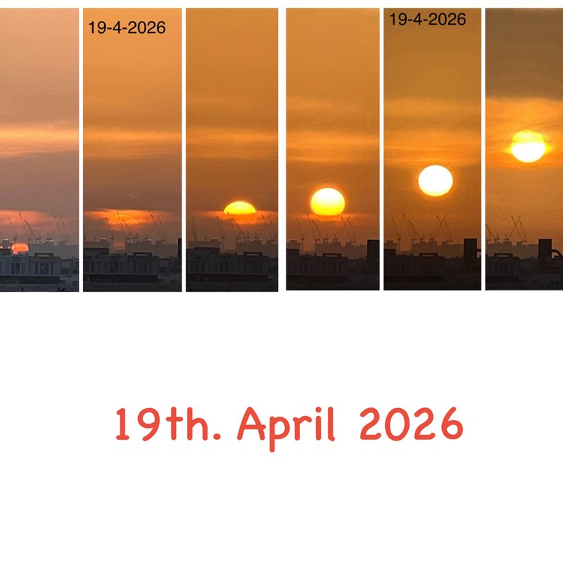 Morning Walk (Delhi/NCR) BillaVj🐈🇮🇳 post image