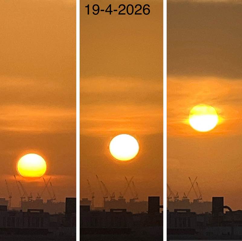 Morning Walk (Delhi/NCR) BillaVj🐈🇮🇳 post image