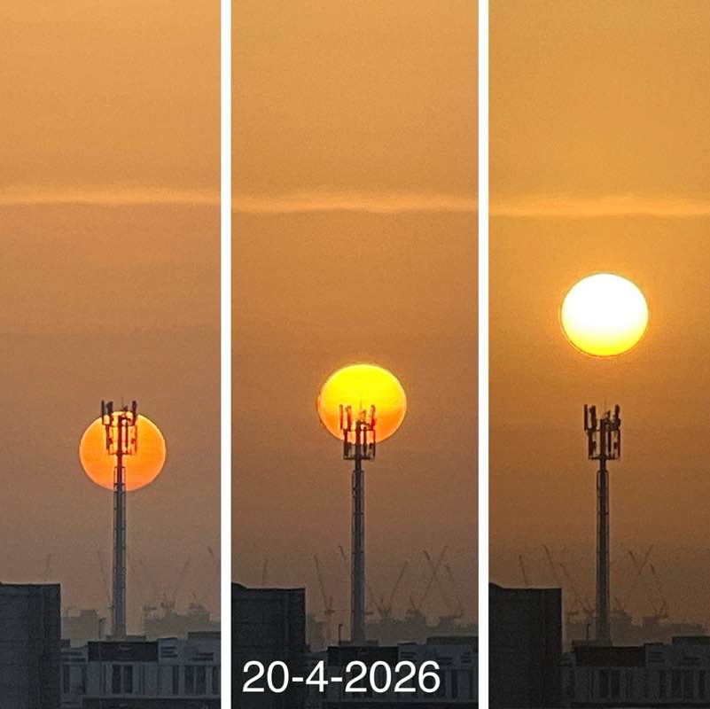 Morning Walk (Delhi/NCR) BillaVj🐈🇮🇳 post image