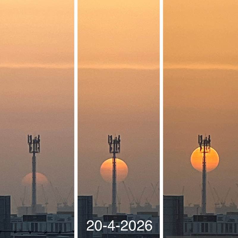 Morning Walk (Delhi/NCR) BillaVj🐈🇮🇳 post image