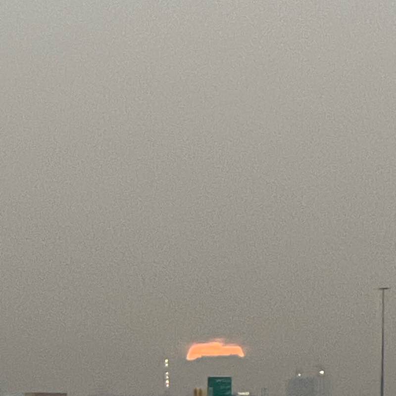 Delhi Walkers BillaVj🐈🇮🇳 post image