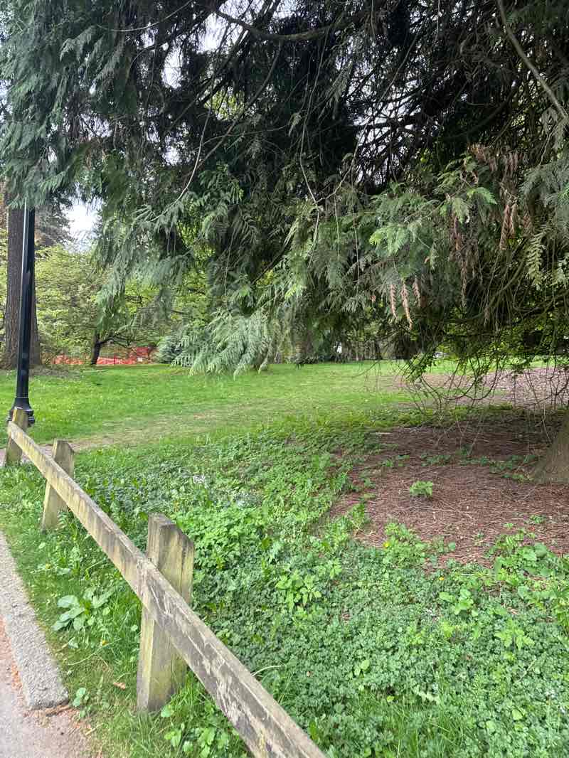 walking near me in Queen's Park in spring