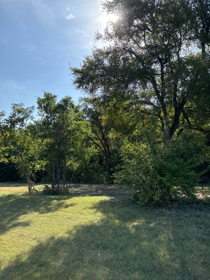 walking near me in Old Settlers Park in autumn