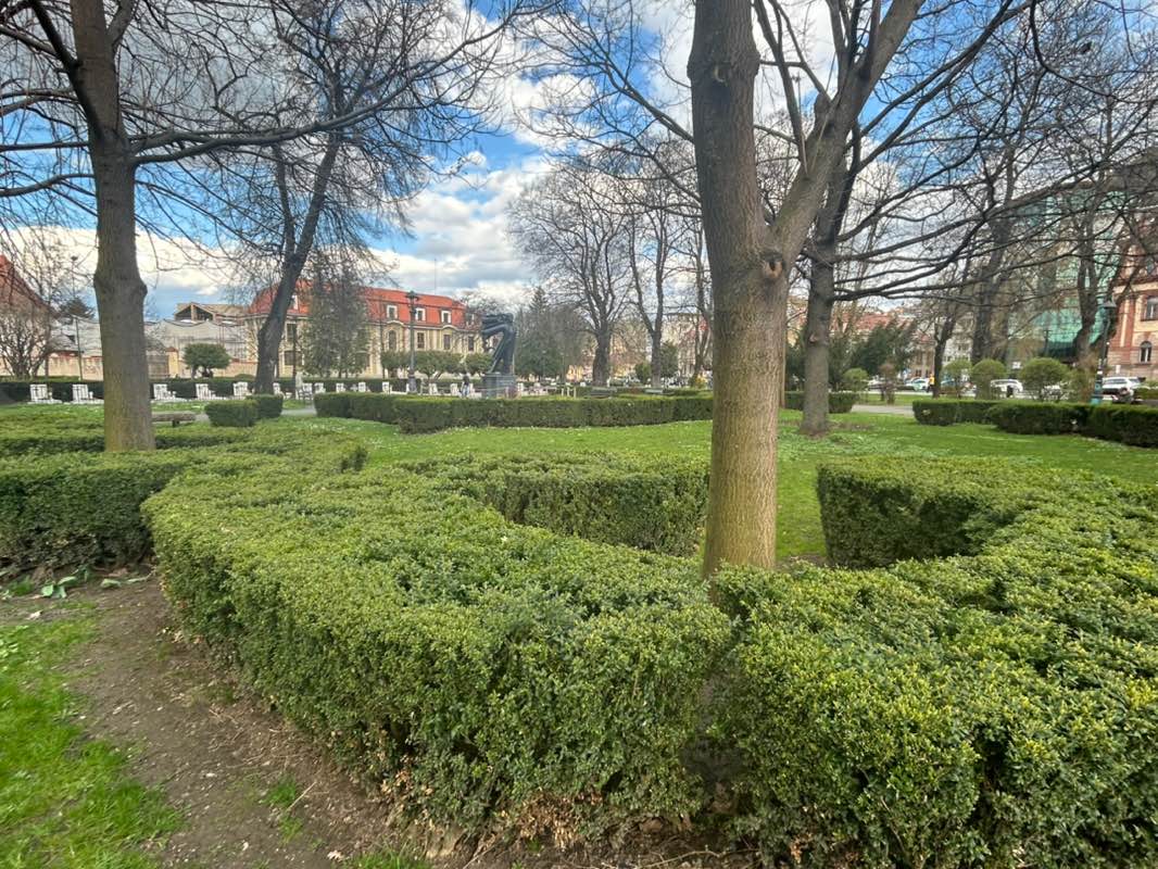walking near me in Parcul Eroilor in spring