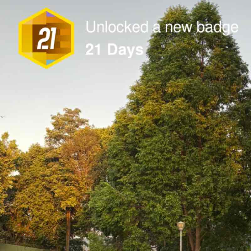 May 5k Race #2 zeph post image