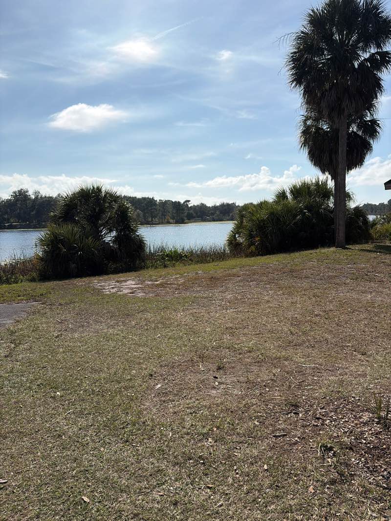 walking near me in Walsingham Park in winter