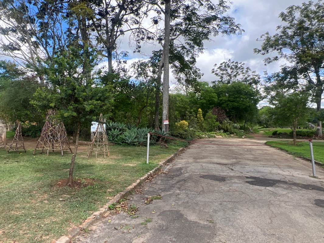 walking near me in Ballantyne Park in summer
