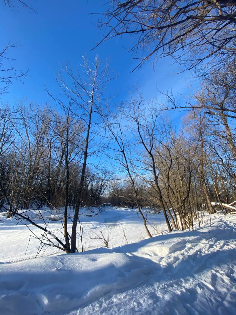 walking near me in Parc linéaire de la rivière Saint-Charles in winter