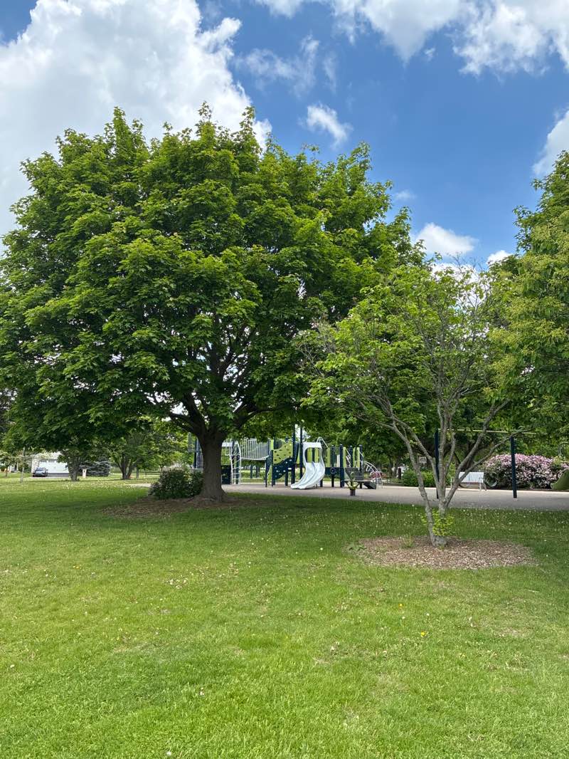 walking near me in Northampton Park in spring