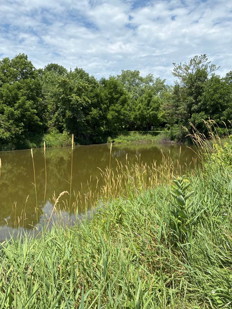 walking near me in Eastern Avenue Park in summer