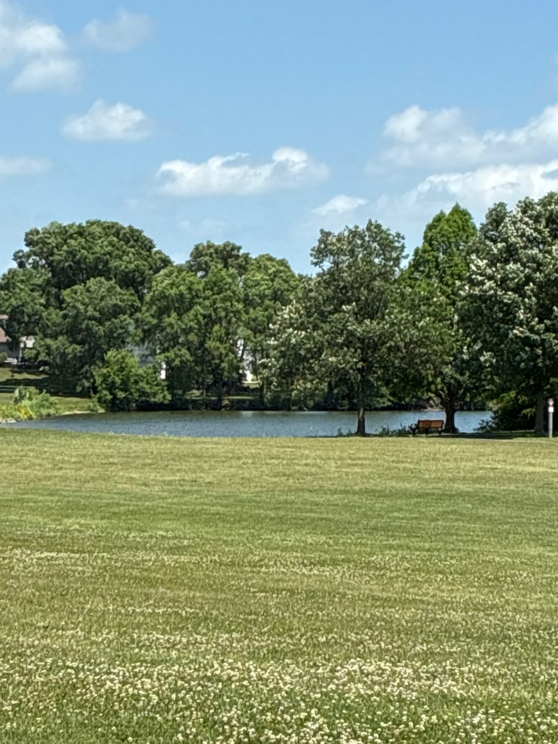 walking near me in Chesterfield Park in summer