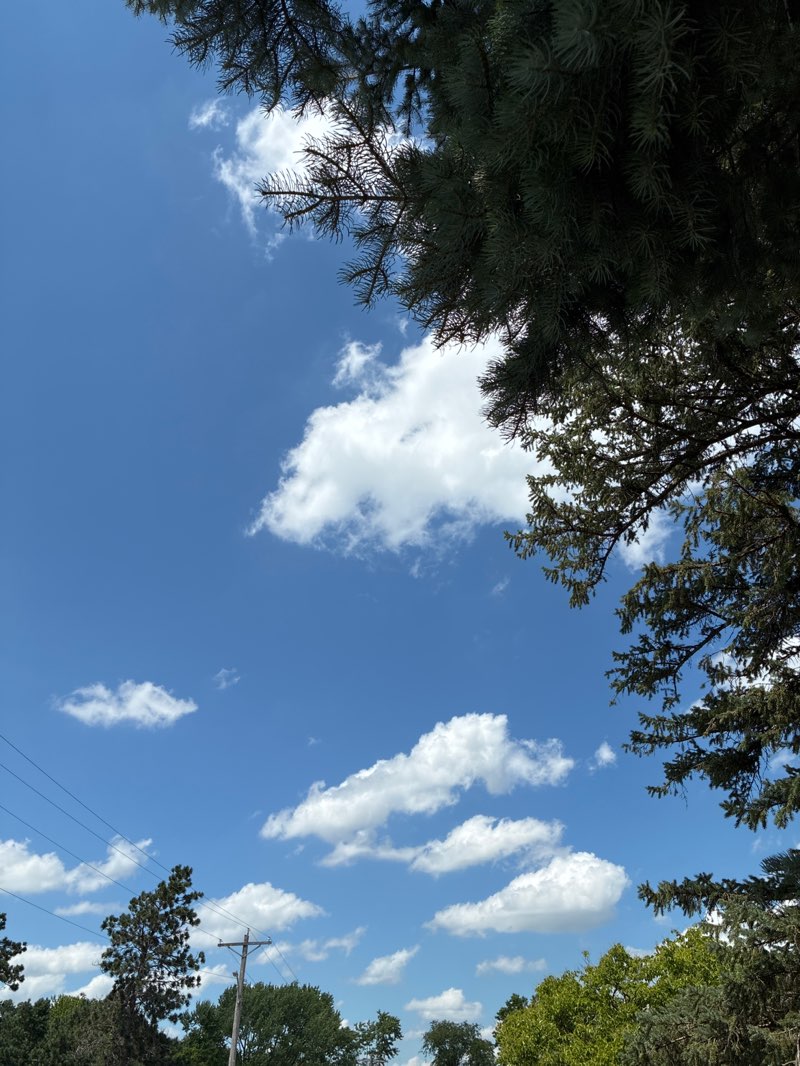 walking near me in Garfield Park in summer